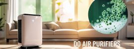 DO AIR PURIFIERS HELP WITH MOLD
