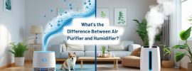 What's the Difference Between Air Purifier and Humidifier