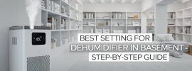 Best Setting for Dehumidifier in Basement